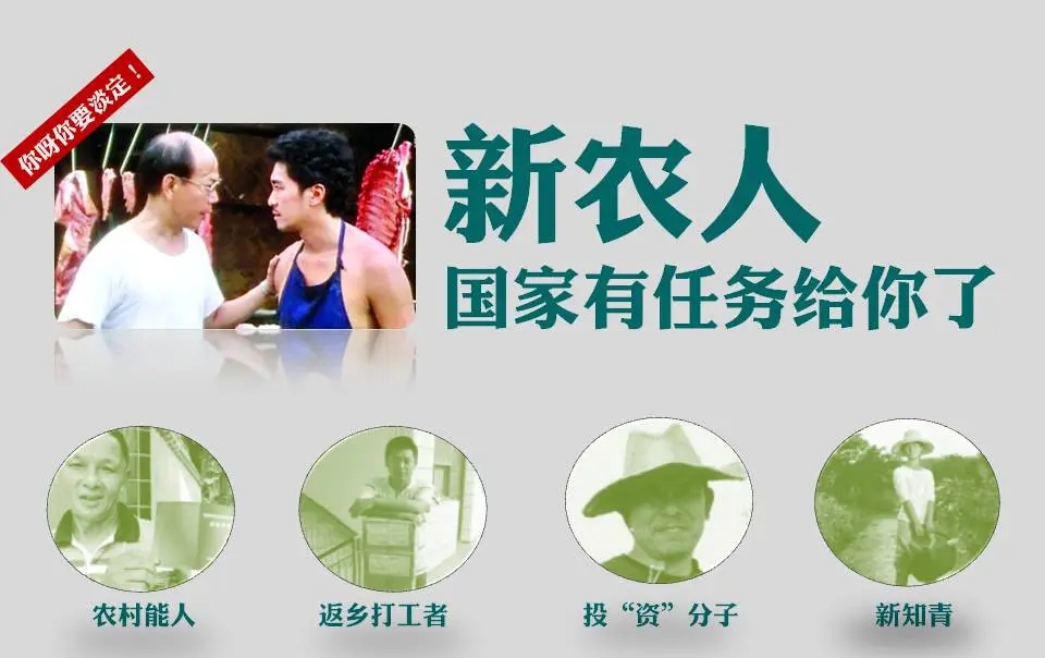 紙托盤(pán)